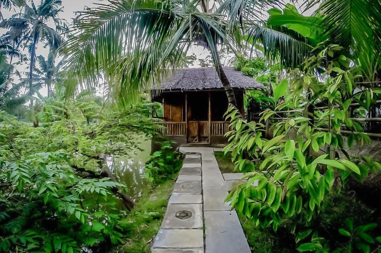Готель Baleku Bamboo Retreat Пангандаран Екстер'єр фото