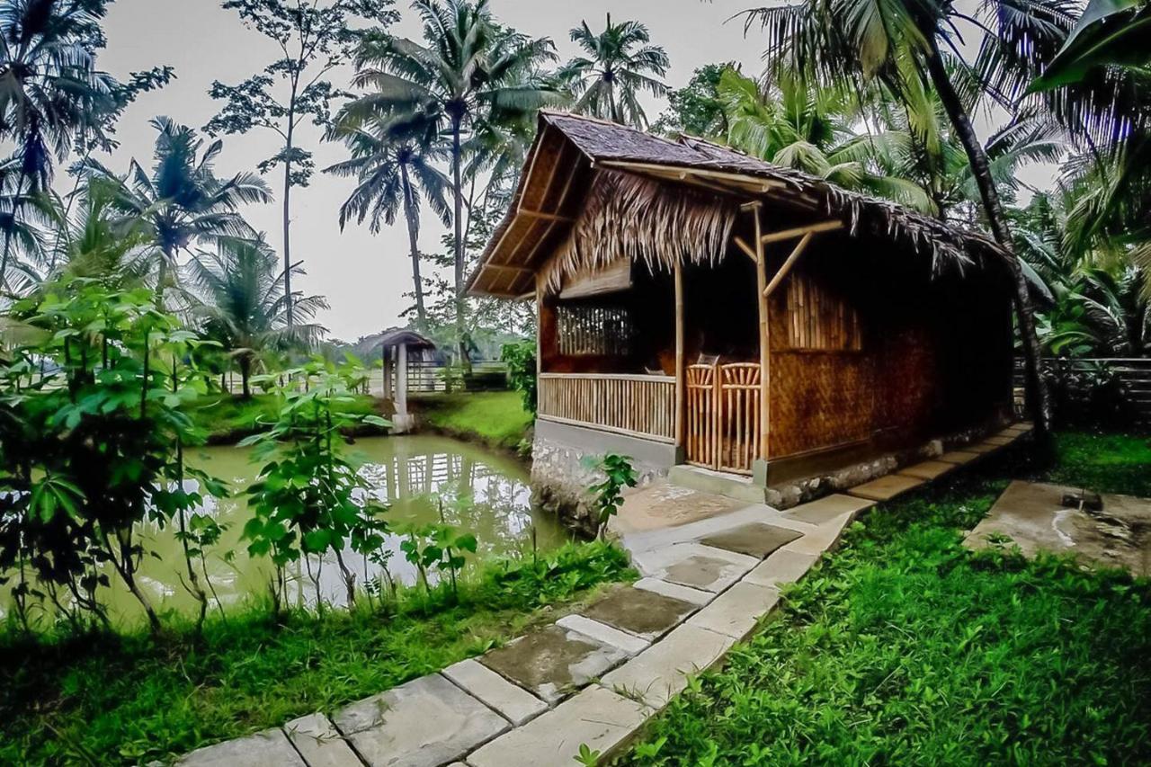 Готель Baleku Bamboo Retreat Пангандаран Екстер'єр фото